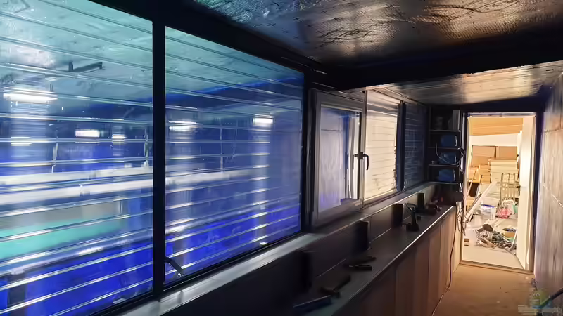 Das kleine Fenster ist zum füttern  von Fido86 (3)