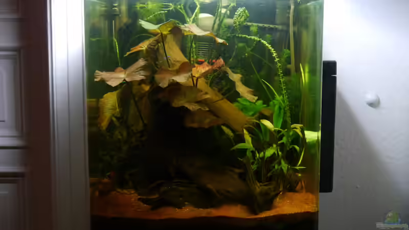 Das Knurrerbecken am 22.10.2014 von Glückspirat82 (2)