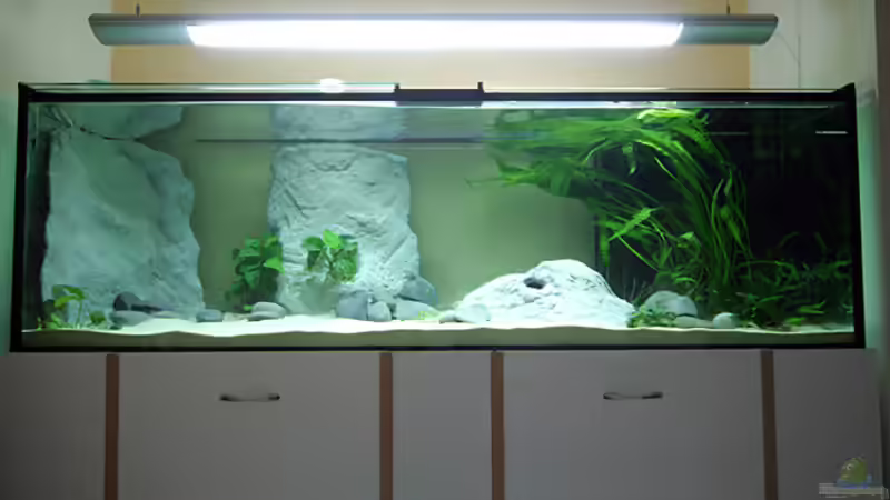 Das komplette Becken auf dem selbstgebauten Unterschrank von Bambarsch (2)