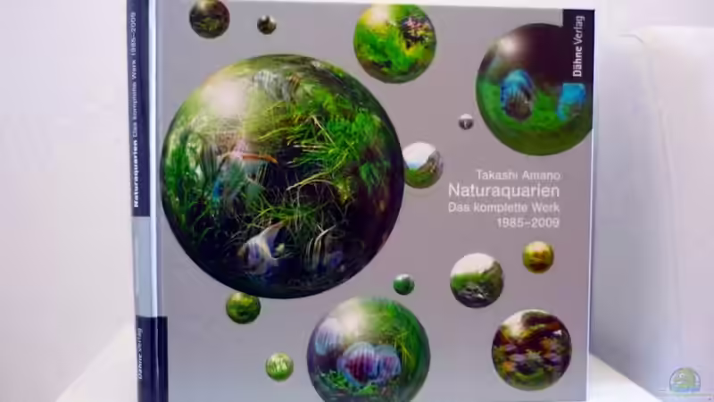 das komplette Werk von Chris_R. (32)