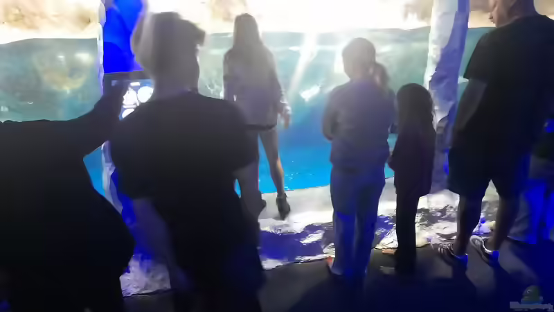 Das Konzept der Sealife-Aquarien: Ein Einblick