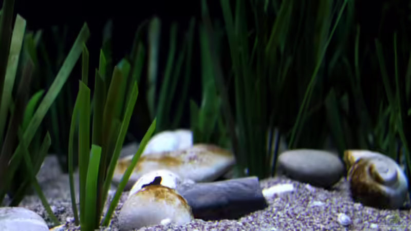 Das künstliche Gras von Pangearocks von Florian Bandhauer (32)