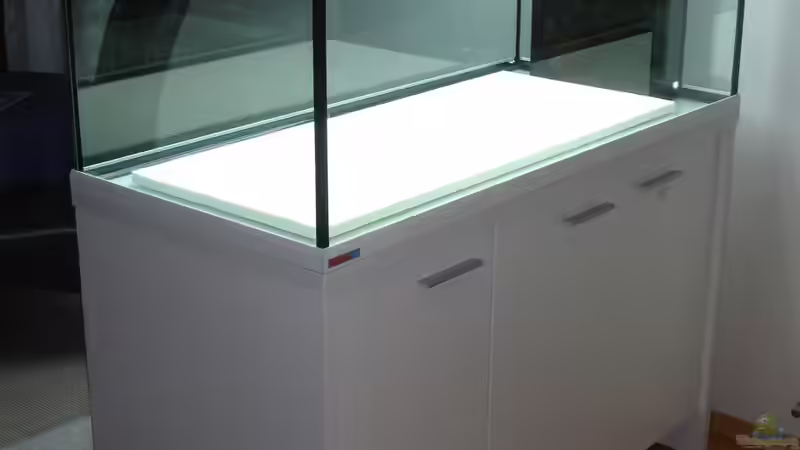 Das leere Aquarium - nagelneu von Roadrunner 68 (2)