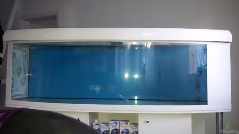 das leere Aquarium von Christian Höse (2)