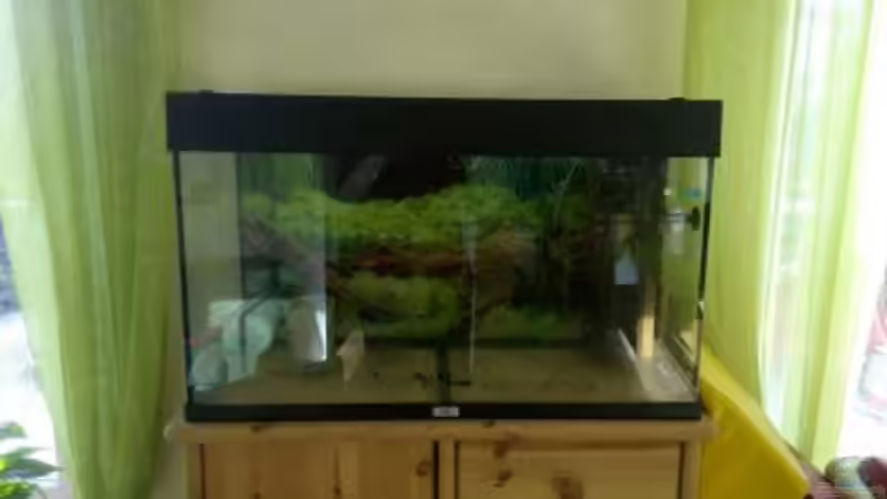 Das Leere Aquarium von Scaper (2)