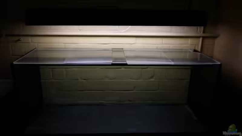 Das leere Becken, leere Becken bei mir? Geht nicht lange gut :-D von Julien Preuß (26)