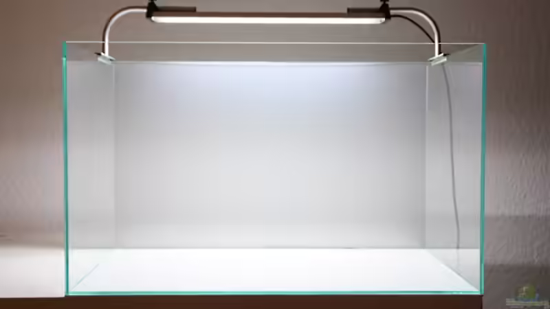 Das leere Becken. von Arami Gurami (2)