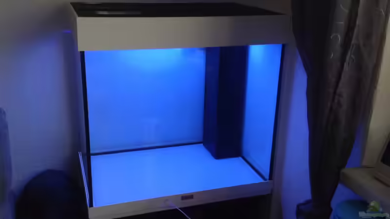 Das leere Becken von Lothar_Fuchs (2)