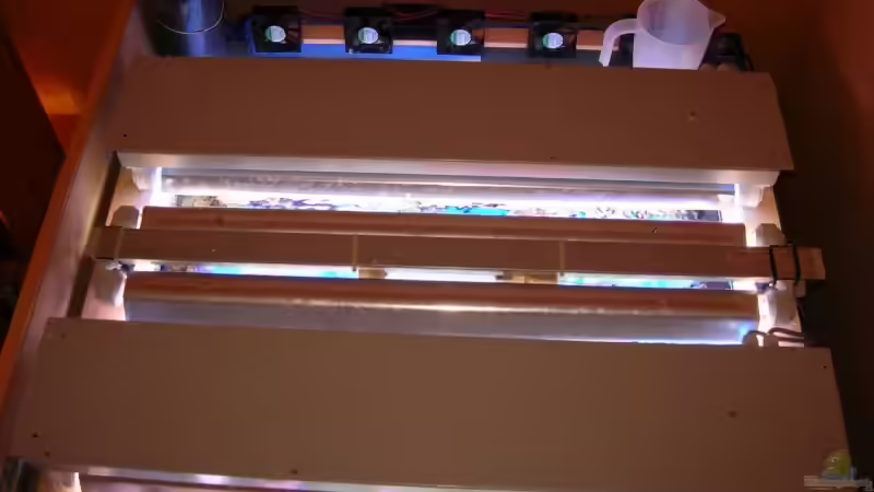 das Licht von Uwe Kerßenfischer (9)