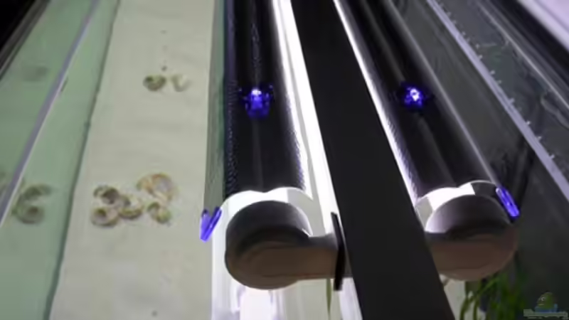 Das Licht wird gut gelenkt  von Volker Hebestreit (10)