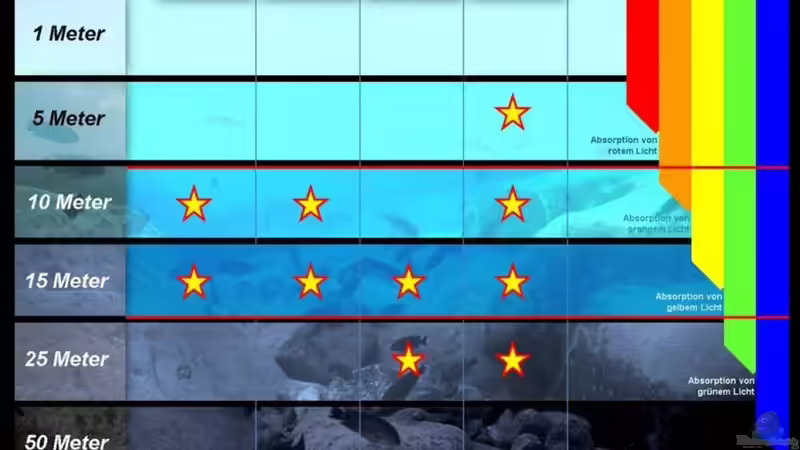 Das Lichtspektrum und die Arten für mein Utaka Habitat von Florian Bandhauer (43)