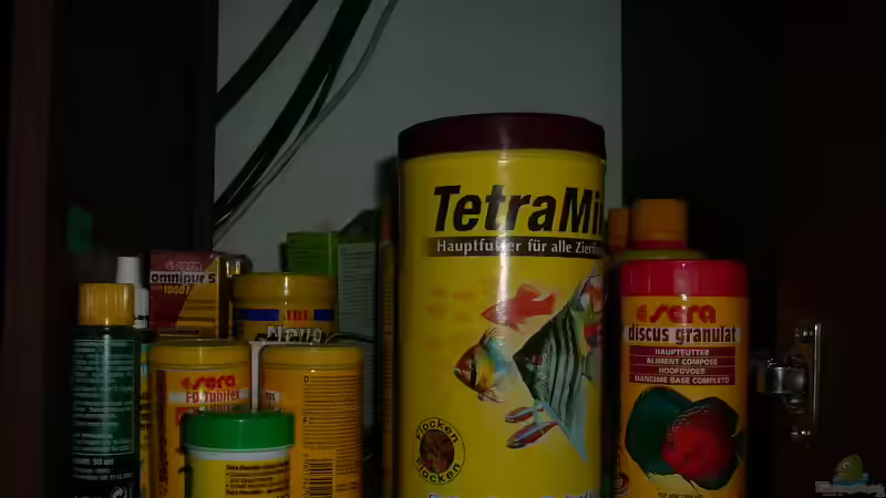 Das liebste meiner Fische :D von @quarium Cologne (46)