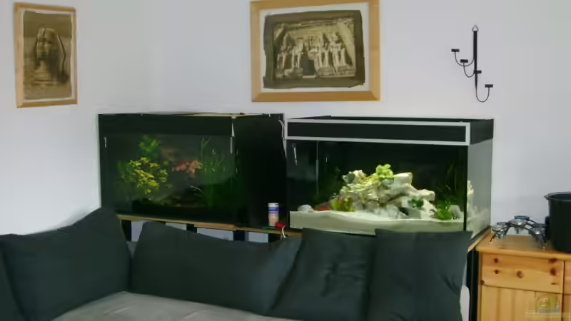 das linke Becken ist noch ohne Besatz von Martin Kühnel (2)