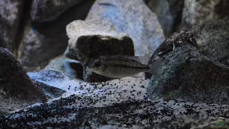 Das Mädel hat seit heute dicke Backen.   ;.) von Marco O. (43)