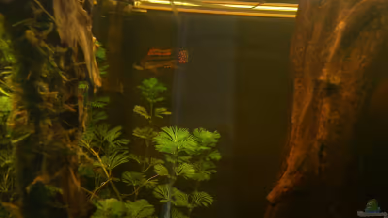 Das Mänchen von Kai Heermann (35)