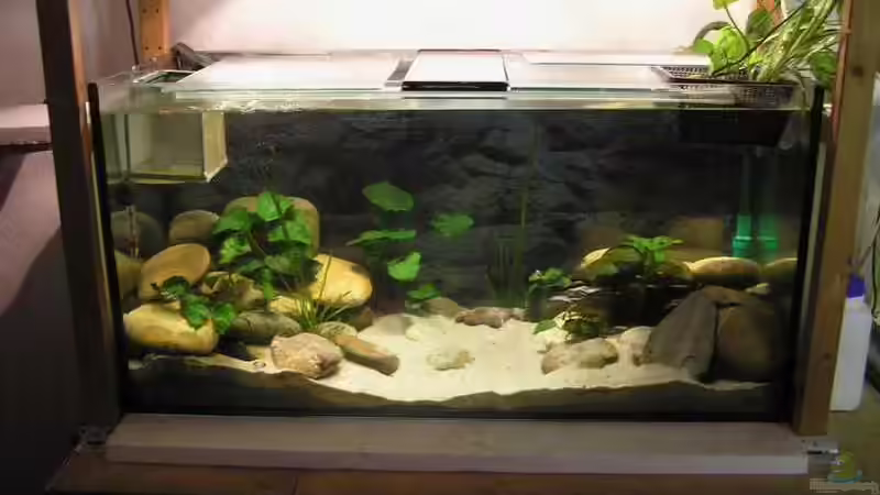 Das Malawibecken allein von Tim-Kevin Sobotta (2)