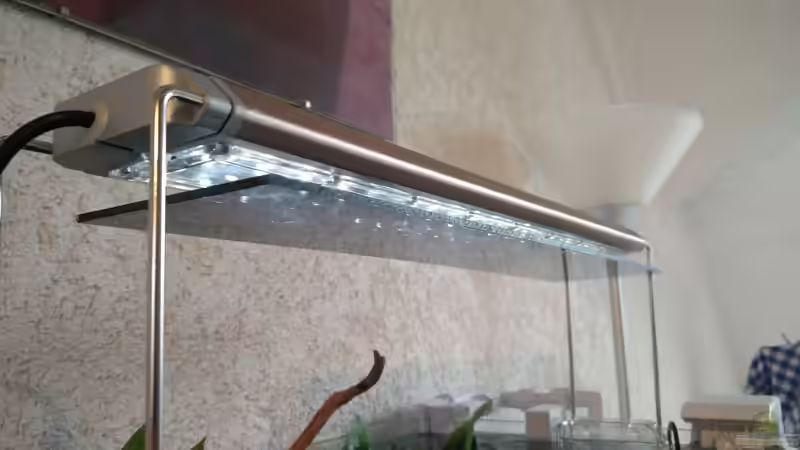 Das Nachtlicht war definitiv viel zu hell, deswegen der Versuch es Nachts mit einer von Solvin (30)