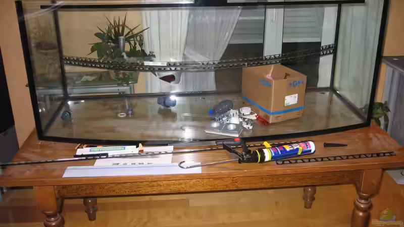 Das nackte Becken von Hubert Demonty (3)