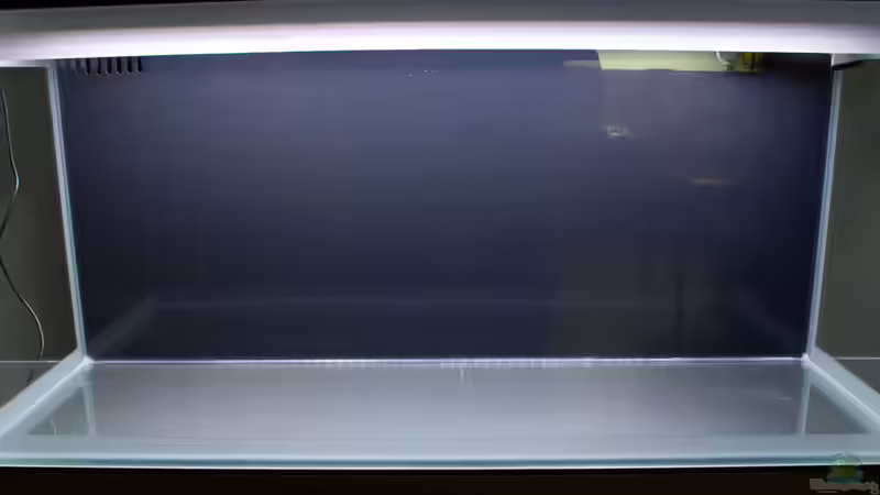 das nackte Becken von mmbm78 (2)