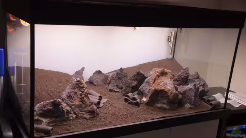 Das Nature Soil und die Welshölen wurden eingebracht von Gallius (18)