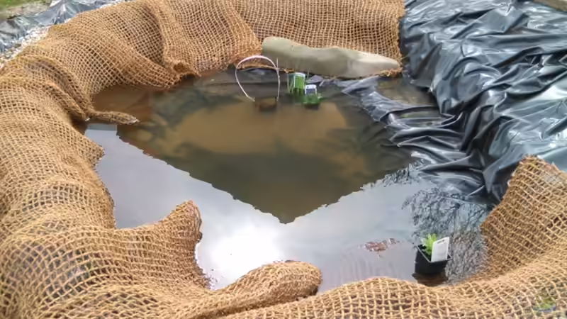 Das Netz für die Böschung liegt und die ersten Pflanzen ziehen ein. 13.04.2018 von Acki50 (10)