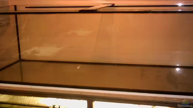 Das neue Becken ist da,hurra von Armin Lange (2)