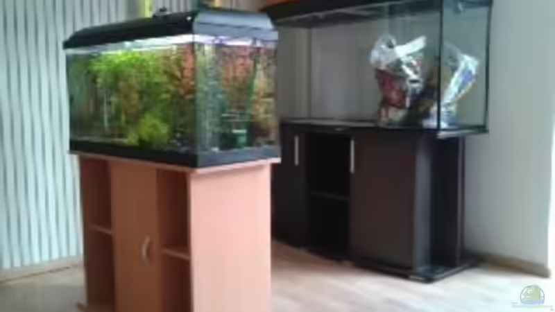 Das neue Becken ist da! von Jankow (2)