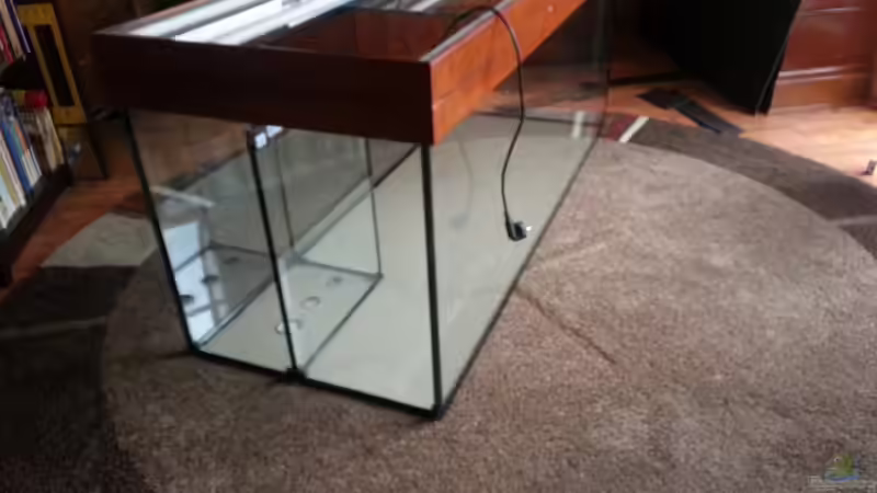 das neue Becken ist entlich da von Bernd Pinkert (2)