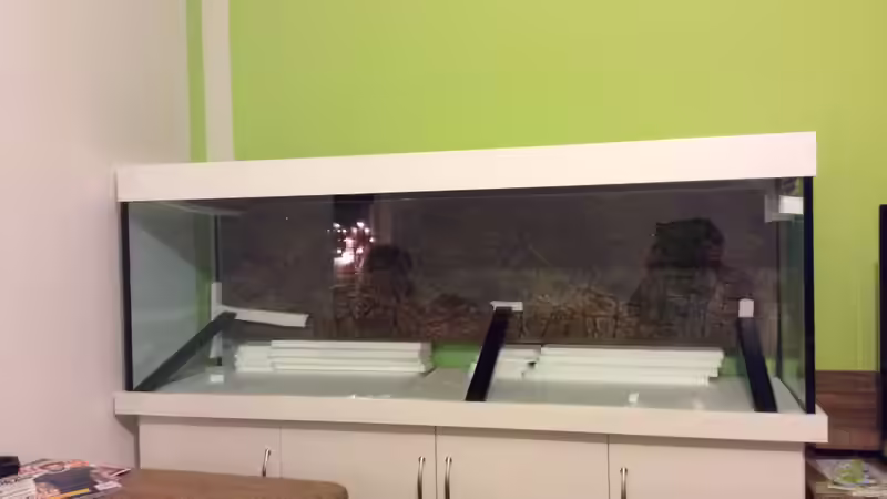 Das neue Becken mit neu frisch eingeklebter Rückwand von delphin (2)