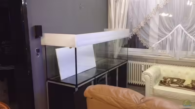 DAS NEUE BECKEN von Polski (2)