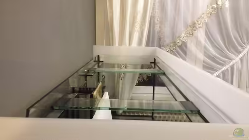 DAS NEUE BECKEN von Polski (3)