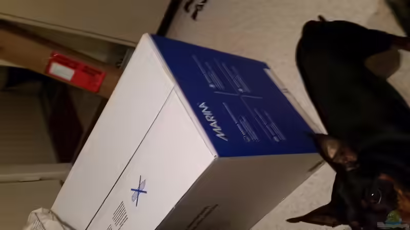 Das neue Glas ist da! von southheart (3)