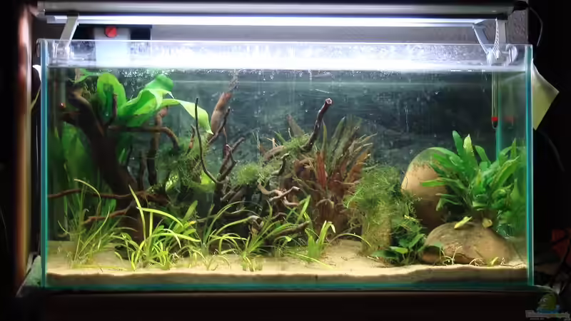 Das neue Layout von Mitch22 (14)