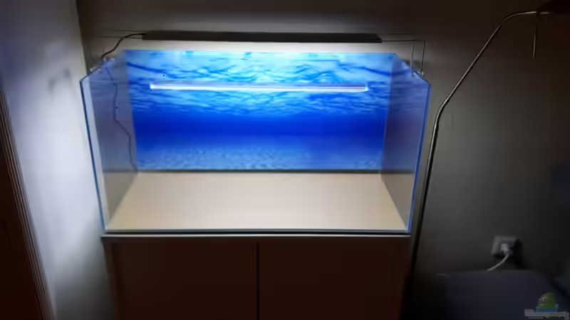 das neue leere Becken von Der Nicky (46)