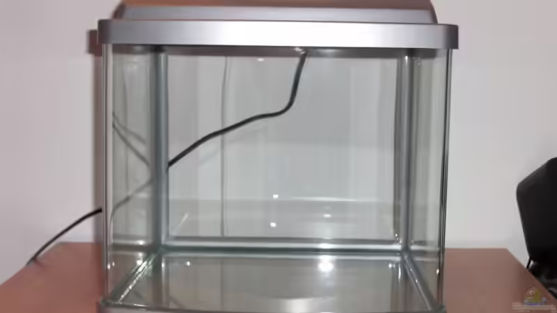das NEUE Nanoaquarium mit 25 l von Malawi TOM (2)