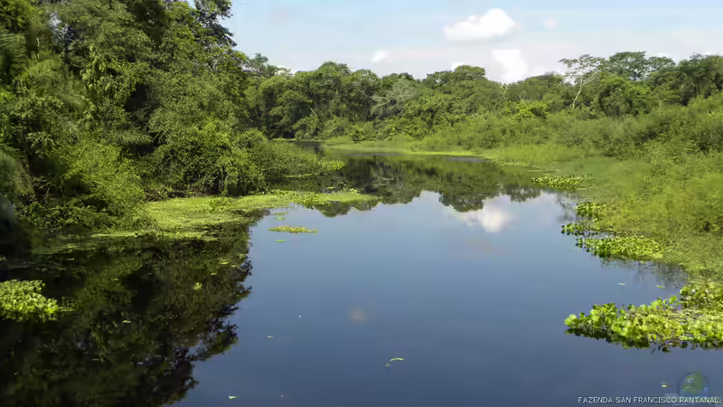 Das nur 20cm große Becken soll eine Flussuferzone nachbilden von Berlin42 (3)