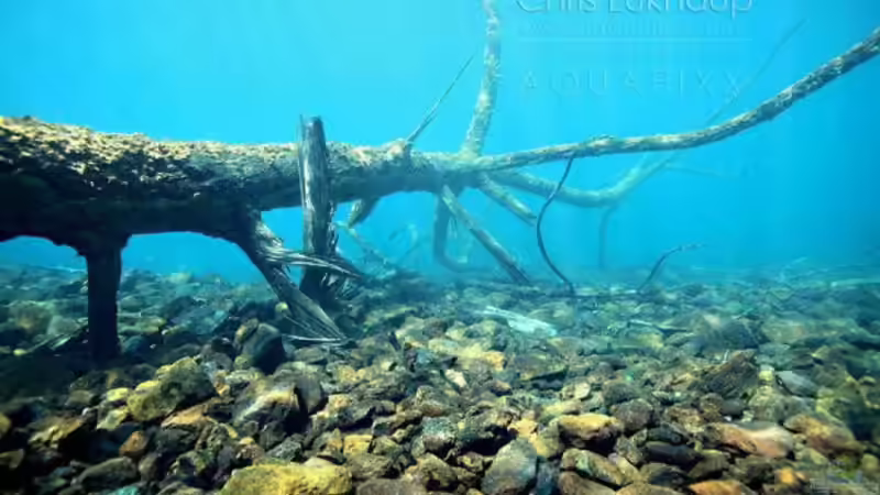 Das Original von Chris Lukhaup mit freundlicher Unterstützung von Falk (3)