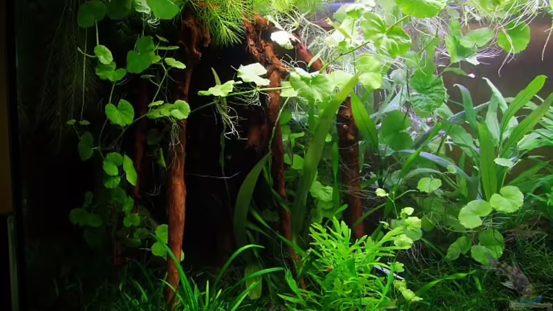 Das perfekte HMF-Versteck :-) von Denise83 (10)