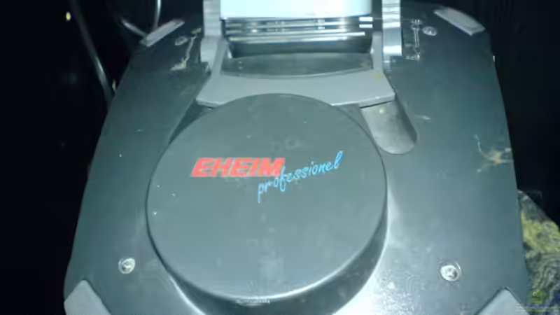 Das Rätsel von oben... von Alexander Schild (10)