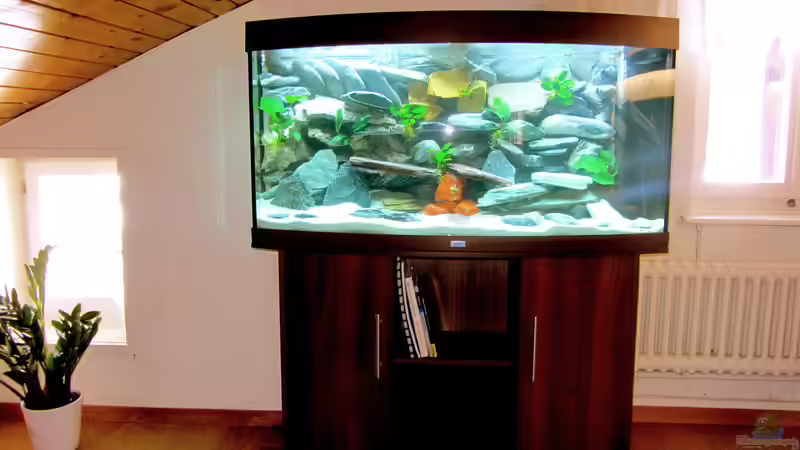 das rechte Fenster ist normalerweise durch rolladen abgedunkelt von Mbuna (2)