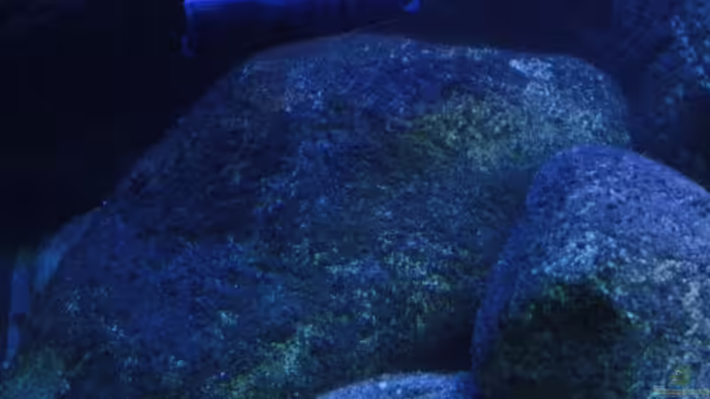 Das Revier des Jägers im Mondlichtmodus von Florian Bandhauer (26)