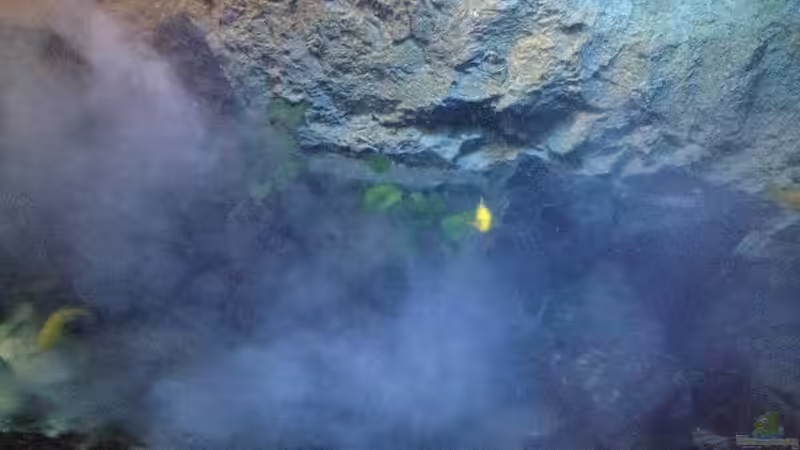 Das Salz in der Suppe  von der Steirer (22)