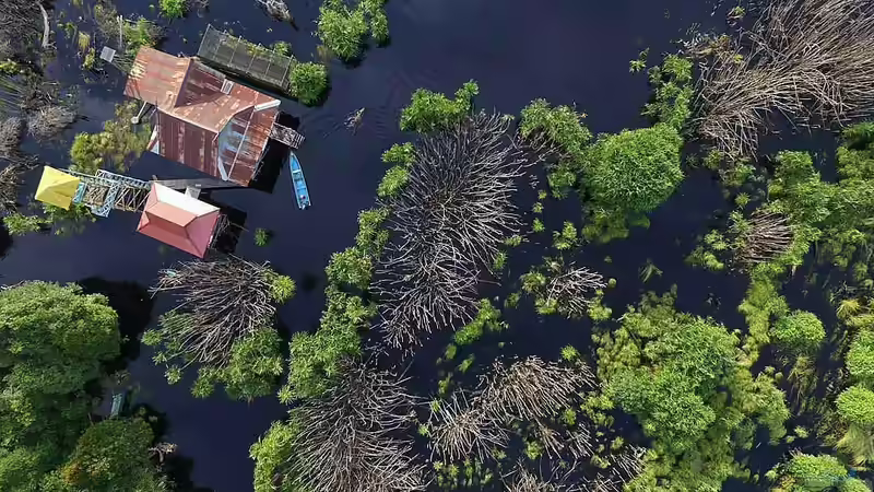 Das Schwarzwasserbiotop - Ein tiefer Einblick in eines der faszinierendsten Ökosysteme der Erde