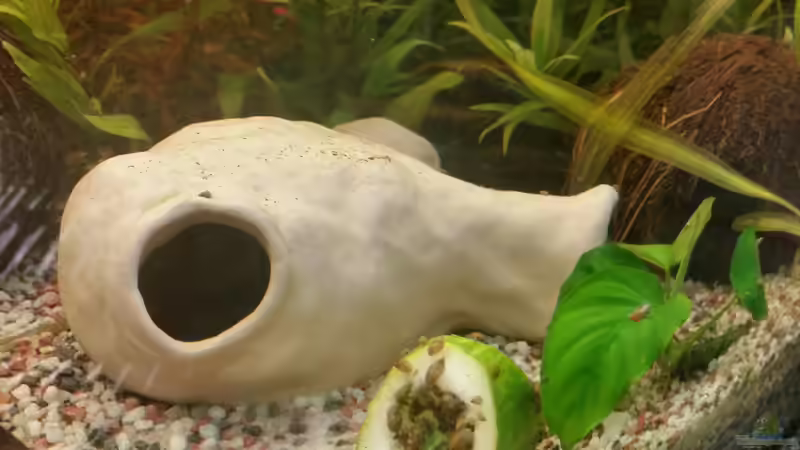 Das selbst gemachte Tongefäss von SvenDerGroße (10)