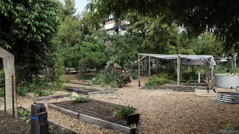 Das sind die 10 gesündesten Gemüsesorten für deinen Garten