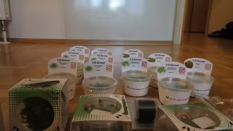 Das Softscape von BastiB (20)