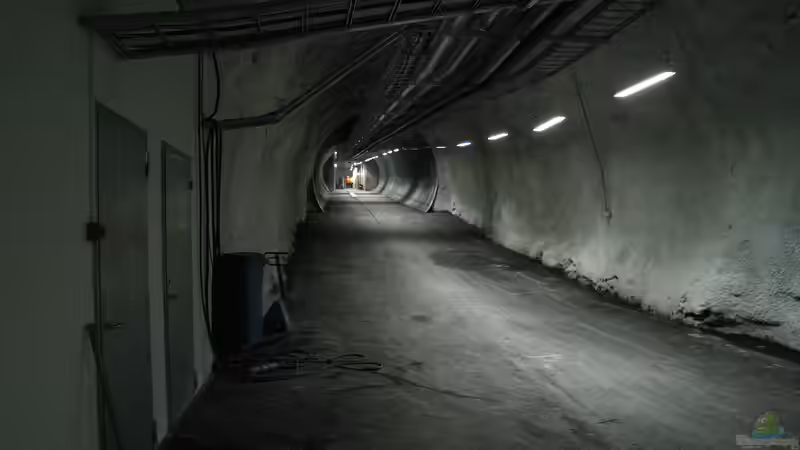 Das Svalbard Global Seed Vault - Der Tresor des Lebens im ewigen Eis
