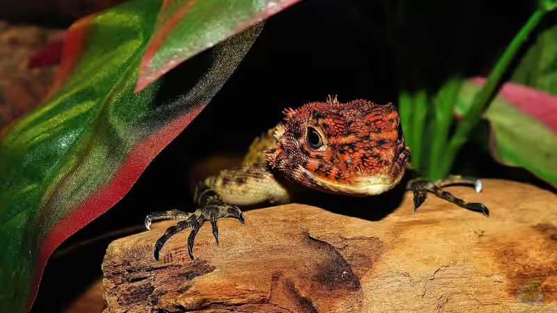 Das Terrarium stinkt: Unangenehme Gerüche vermeiden