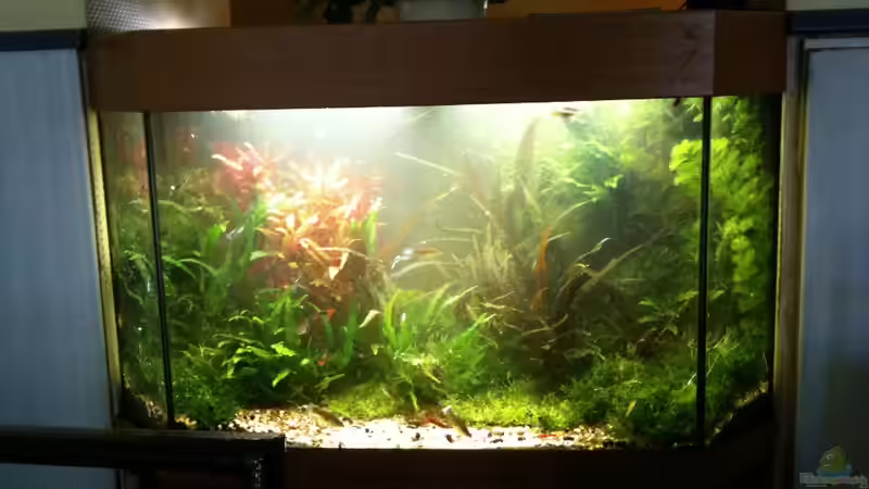 Das Tor in eine andere Welt, Pflanzen II von Biosphaeren (2)