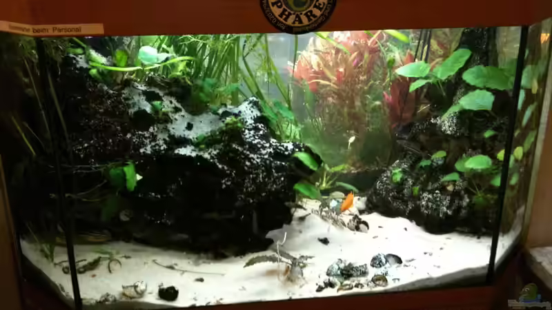 Das Tor in eine andere Welt, Pflanzen III von Biosphaeren (3)